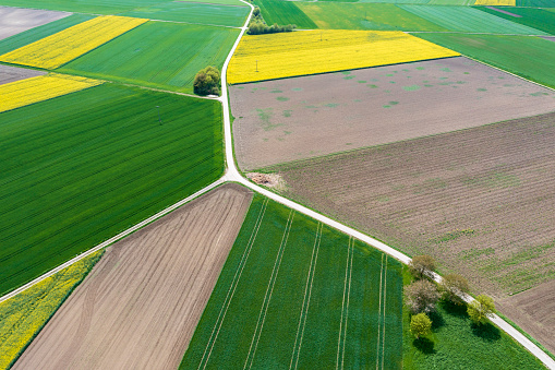 Aerial view of a spring, agricultural landscape with green and yellow fields.