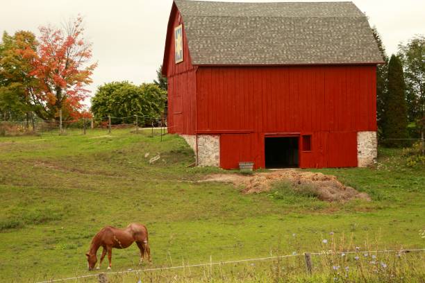 istock Side view of the Big Red Barn 1487601886