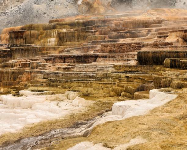 Terraces at Mammoth Hot Springs stock photo