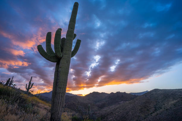 istock A dramatic sunrise in Tonto National Forest on Ballantine Trail 1487619112