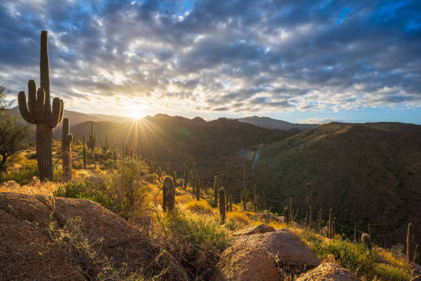 istock A dramatic sunrise in Tonto National Forest on Ballantine Trail 1487619171