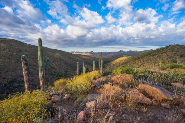 istock A dramatic sunrise in Tonto National Forest on Ballantine Trail 1487619173