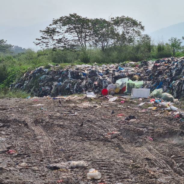 istock garbage/trash piles in landfill stock photo 1487619212