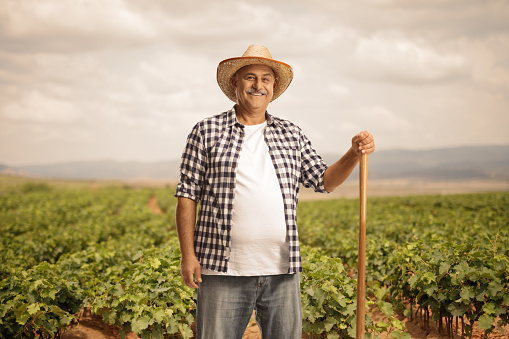 Mature farmer with a shovel posing on a grapevine field and smiling