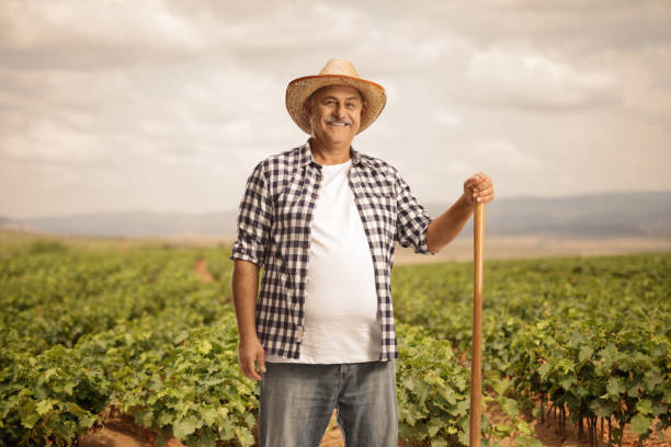 Mature farmer with a shovel posing on a grapevine field stock photo