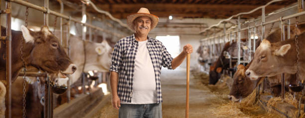 istock Farmer with a shovel standing inside a dairy farm 1487619633