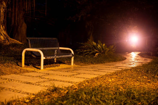 istock Bench under street lamp in night park 1487625854