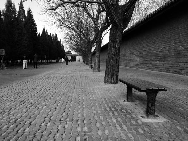 Leisure benches in the park in winter