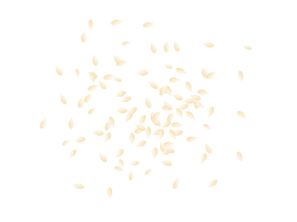 Top view of white sesame seeds scatter over the cut out background, flat vector. Top view of white sesame seeds scatter over the cut out background, flat vector. sesame seed stock illustrations