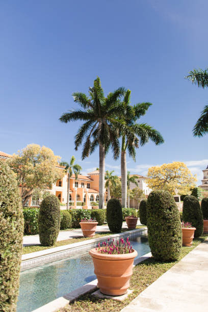 istock Palm Trees & Potted Plants Surrounding a Reflection Pool in Palm Beach, Florida in the Spring of 2023 1487638186