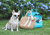 8 Other Reasons Straw Bag Is Your Worst Enemy. 8 Ways To Defeat It