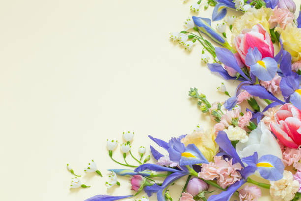 istock beautiful spring flowers on pastel background 1487642192