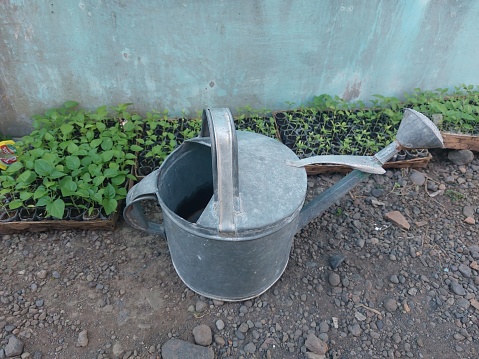 iron watering can. Gardening concept of a rural garden