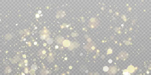 Vector illustration of Light effect with lots of shiny golden highlights shining on transparent background for christmas new year design.