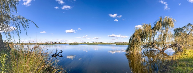 Horizontal panorama of blue sky, clouds and Willow trees reflecting on the calm waters of the wildlife sanctuary, Dangar’s Lagoon near Uralla, New England high country, NSW on a sunny day in Autumn.