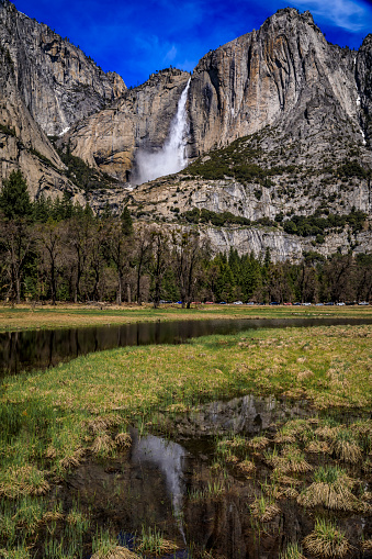 View of Yosemite Falls with a reflection in Merced River in the spring in the Yosemite National Park, Sierra Nevada mountain range in California, USA