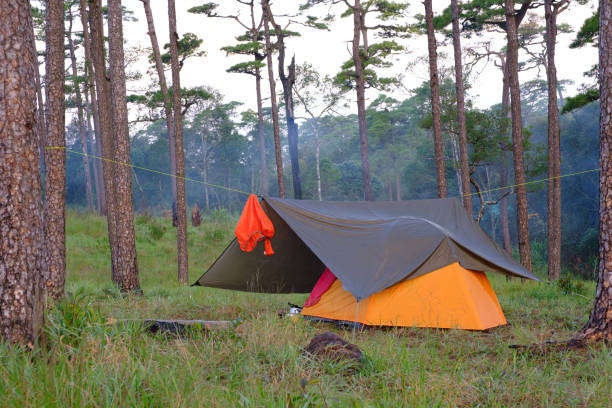 istock Camping orange tent in forest 1487663470