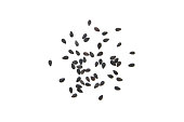 Black sesame seeds pattern isolated on white background.