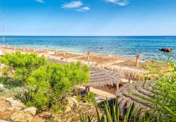 istock Landscape in a beach in Hammamet, Tunisia 1487671244