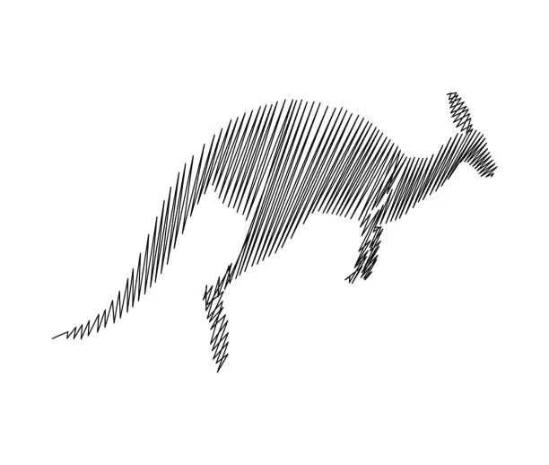 Vector illustration of Continuous one line drawing of kangaroo . Kangaroo scribble - single line art vector illustration. Editable stroke.