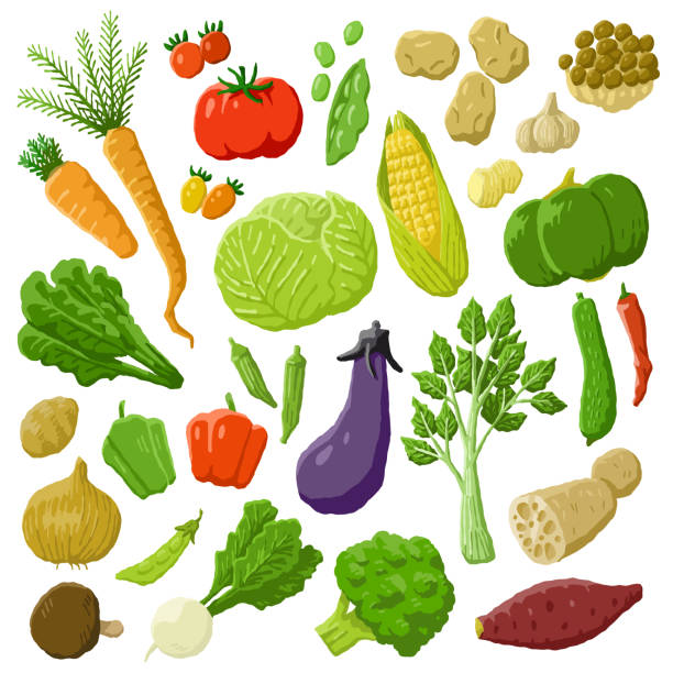 illustrazioni stock, clip art, cartoni animati e icone di tendenza di set vegetale - healthy eating green pea snow pea freshness