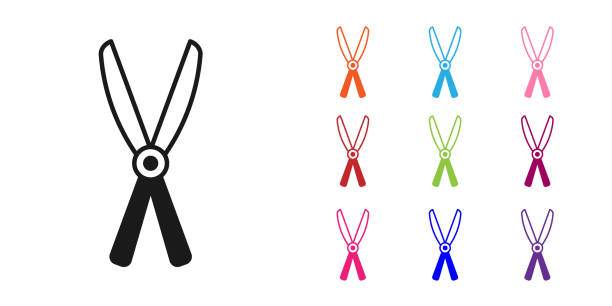 Black Gardening handmade scissors for trimming icon isolated on white background. Pruning shears with wooden handles. Set icons colorful. Vector Black Gardening handmade scissors for trimming icon isolated on white background. Pruning shears with wooden handles. Set icons colorful. Vector. branch trimmers stock illustrations