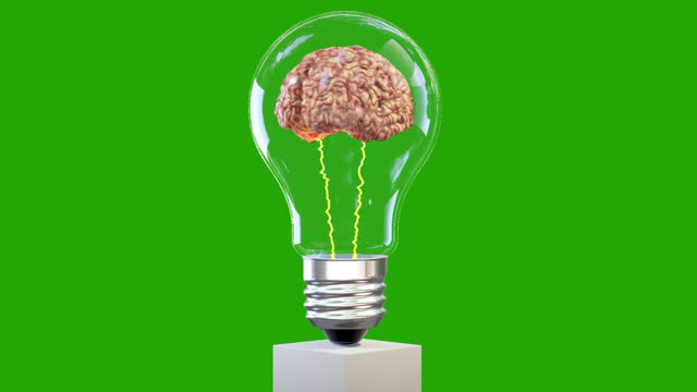 3d brain rotating inside a lightbulb, great mind concept, loop, Green Screen Chromakey