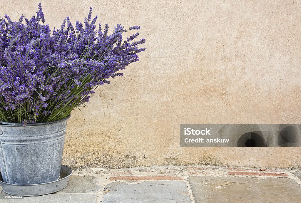 Bouquet of lavender in a metal bucket Bouquet of lavender in a rustic metal bucket Lavender - Plant Stock Photo