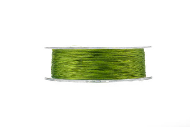 istock Braided green line for fishing on a transparent coil, isolate, close-up 1487687329