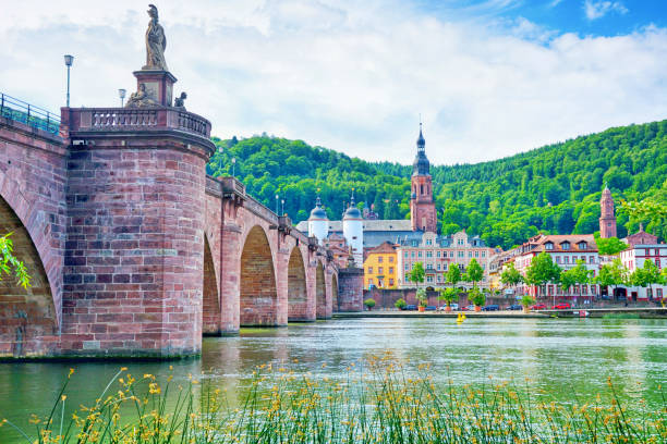 istock Old Bridge in Heidelberg 1487696916