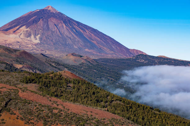 istock Mount Teide Volcano in Tenerife, Canary Islands, Spain 1487698346