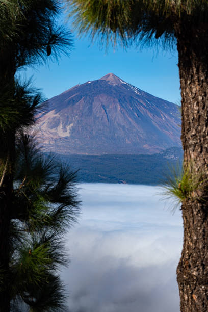 istock Mount Teide Volcano in Tenerife, Canary Islands, Spain 1487698927