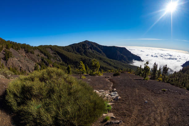 istock Above the clouds on a mountain Top 1487700289