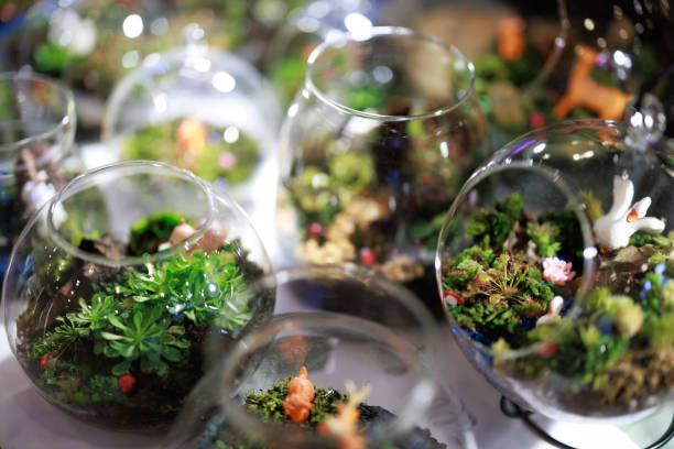A terrarium is a tightly closed, clear glass or plastic container filled with small plants. Terrariums are most useful for small plants that do not adapt well to normal home atmospheres.