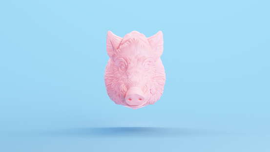 Pink Boar Hog Head Bust Mammal Ornament Pig Blue Kitsch Background 3d illustration render digital rendering