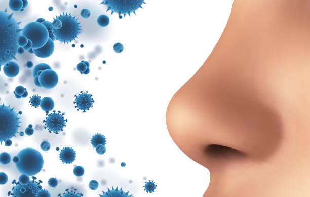istock vector banner. nose and particles, bacteria, viruses. protection against allergies and diseases 1487709158