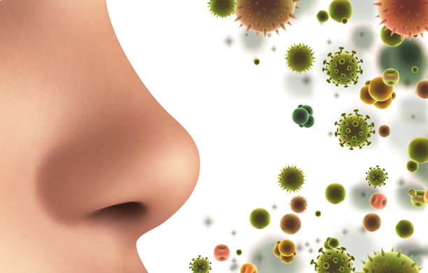 istock vector banner. nose and particles, bacteria, viruses. protection against allergies and diseases 1487709167