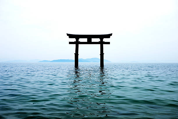 ประตูเงา - torii gate ภาพสต็อก ภาพถ่ายและรูปภาพปลอดค่าลิขสิทธิ์