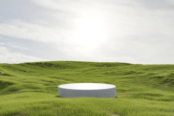 istock Abstract 3d render platform natural background, White podium on the grass field backdrop cloud and sky for product stand display advertising, cosmetic or etc 1487712078