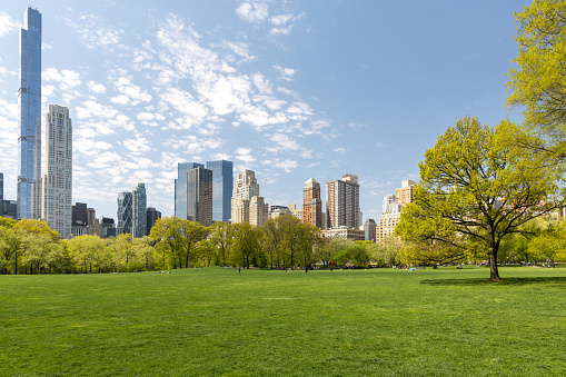 People relax in Central Park, Manhattan, New York City, USA on a sunny day