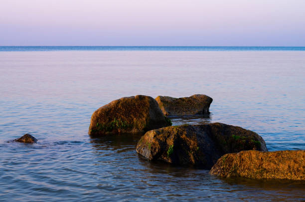 istock coastal stones in the sea beach 1487713935