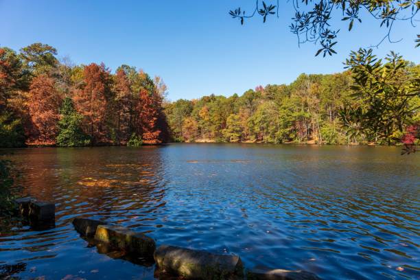 istock the beautiful blue waters and colorful trees on a clear day 1487716878