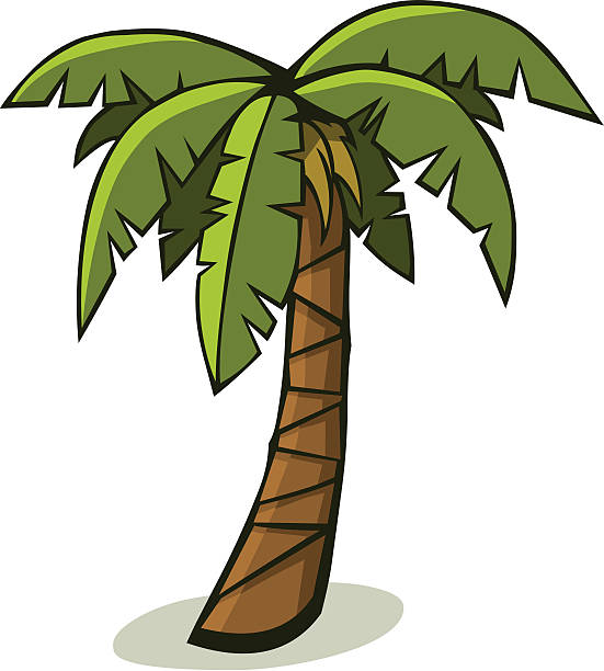 Cartoon Palm Tree A solitary tropical palm tree. palm tree cartoon stock illustrations