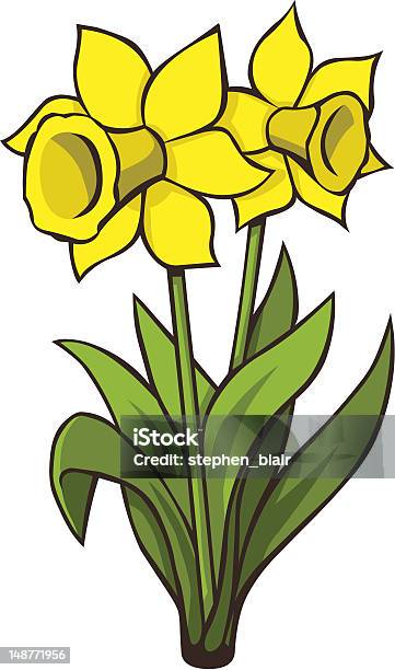 Due Daffodils - Immagini vettoriali stock e altre immagini di Narciso - Liliacee - Narciso - Liliacee, Clip art, Fiore