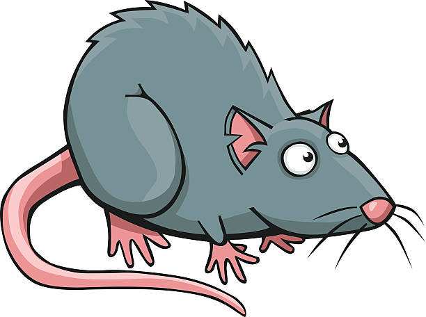 illustrazioni stock, clip art, cartoni animati e icone di tendenza di fumetto di ratto - ratto