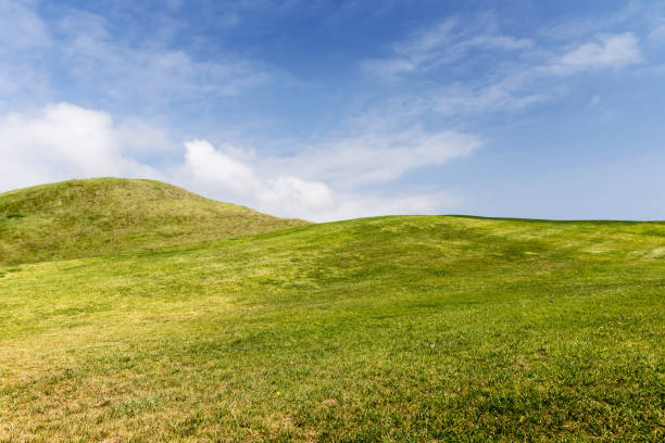 istock Rolling hills field and a beautiful sky with fluffy clouds 1487722016