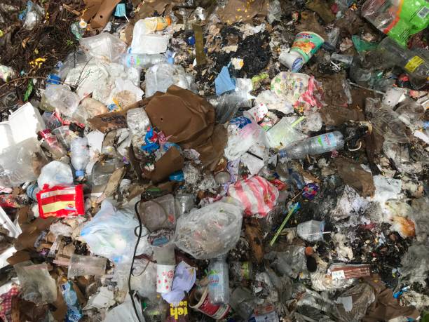 istock example of Indonesian environmental pollution by dumping garbage into forest land 1487734789