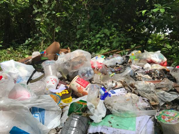 istock example of Indonesian environmental pollution by dumping garbage into forest land 1487734807