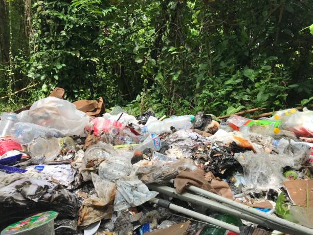 istock example of Indonesian environmental pollution by dumping garbage into forest land 1487734845