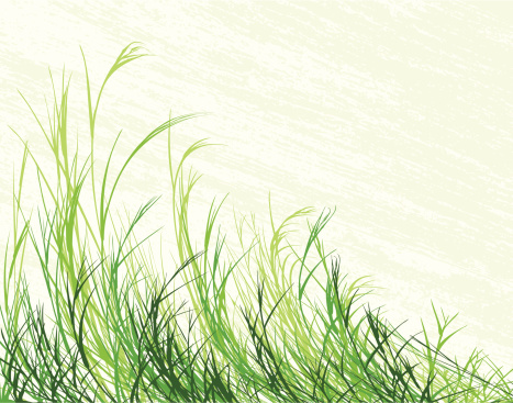 Editable vector illustration of long grass with grunge background on separate layer